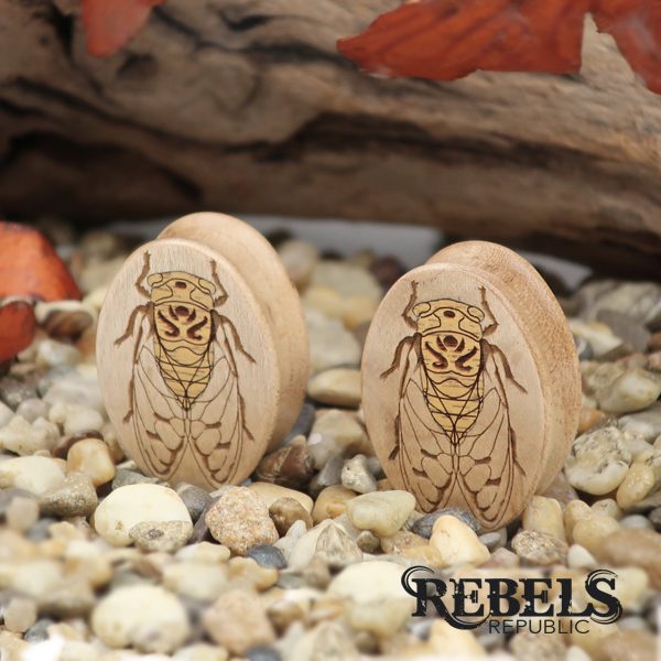 Cicada Ovals Plugs
