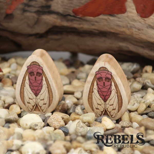 Cicada Teardrop Plugs