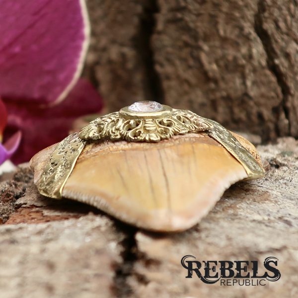 Megalodon Ear Weights
